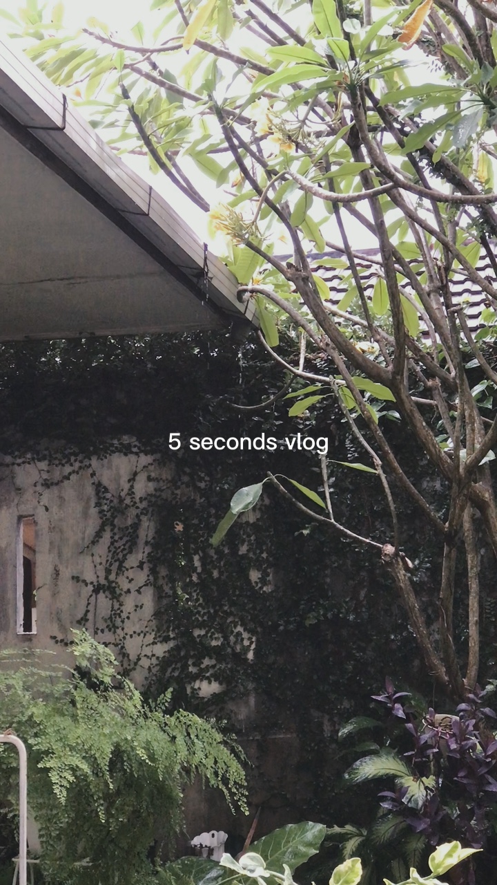 VLOG DE 5 SEGUNDOS