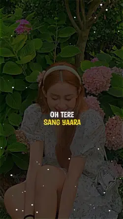 O TERE SANG YAARA 