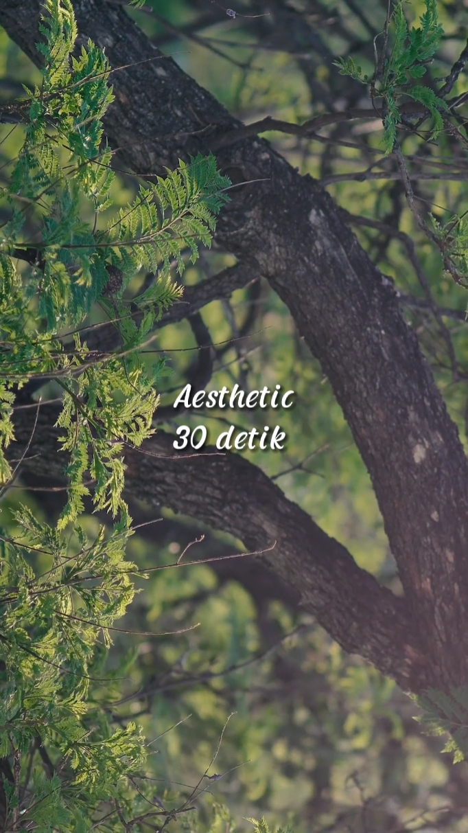 Aesthetic 30 detik 