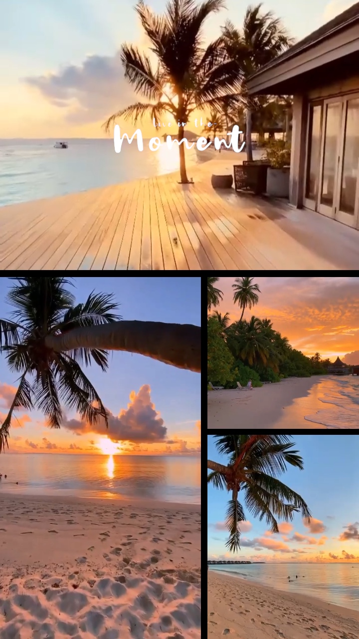 Vlog Grid Viral 1207