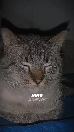 LIRIK LAGU NEMEN