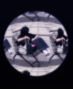 fisheye trend