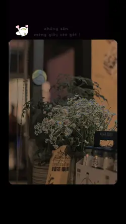 LYRICS + MÀU ĐẸP