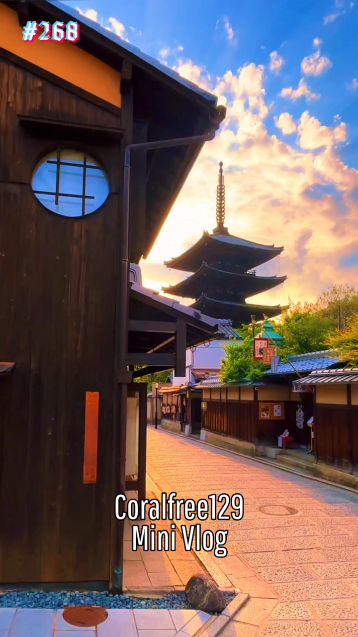 Vlog De Hoje Japão