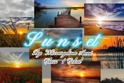 Dina's Assignment