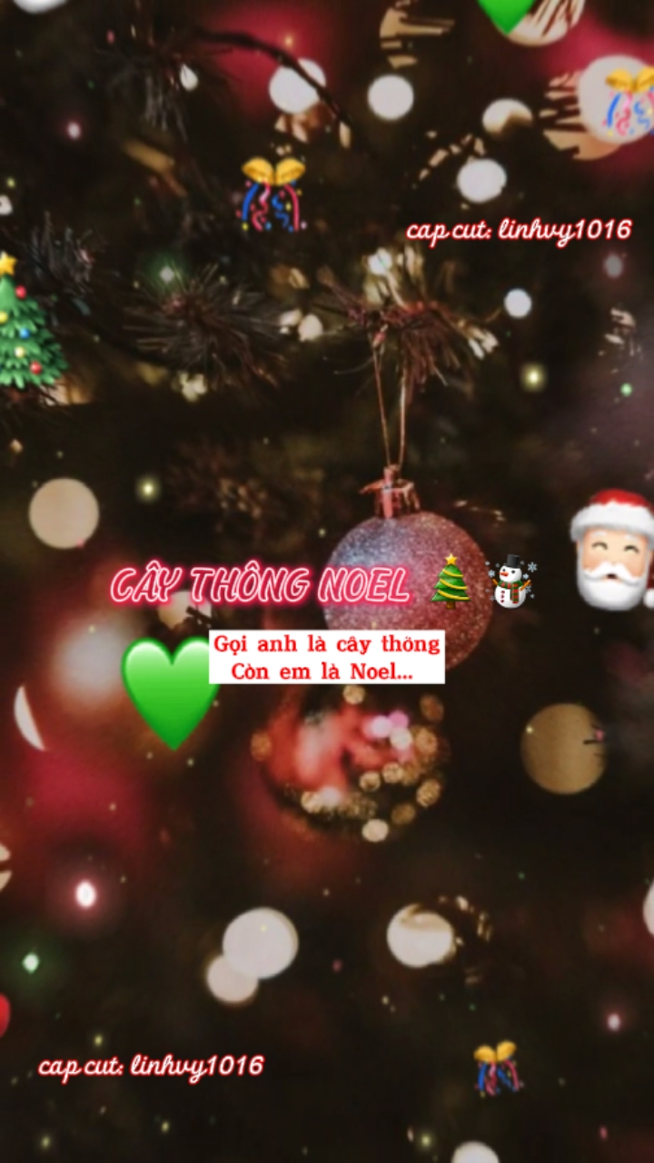 Cây Thông Noel