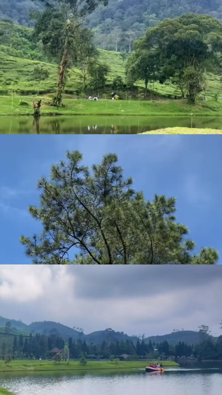 Vídeo del fotograma 3