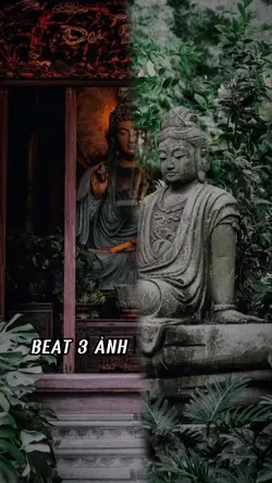 BEAT 3 ẢNH