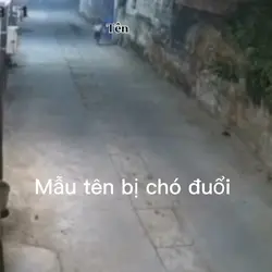 mẫu tên, bị chó đuổi