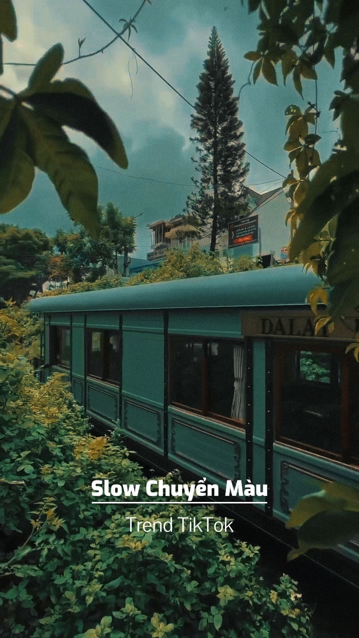 Slow Chuyển Màu🐹