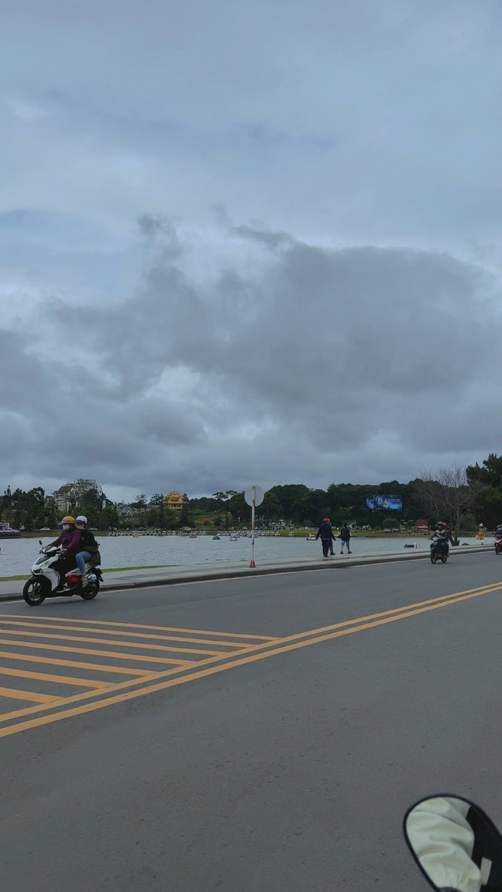 Mẫu 15vd