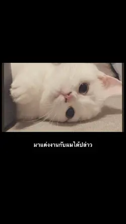 มาแต่งงานกับผม