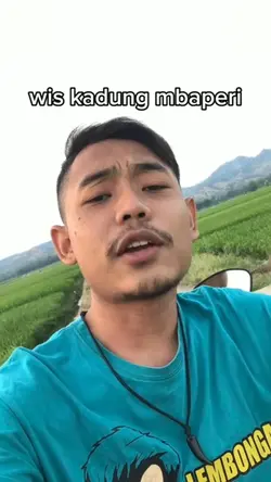 Remuk Bolo