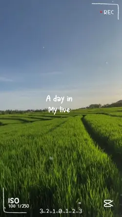 2 Video vlog