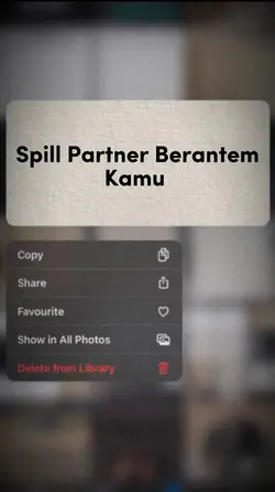 Spill Yokk|