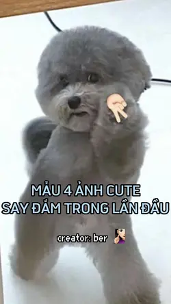MẪU 4 ẢNH CUTE