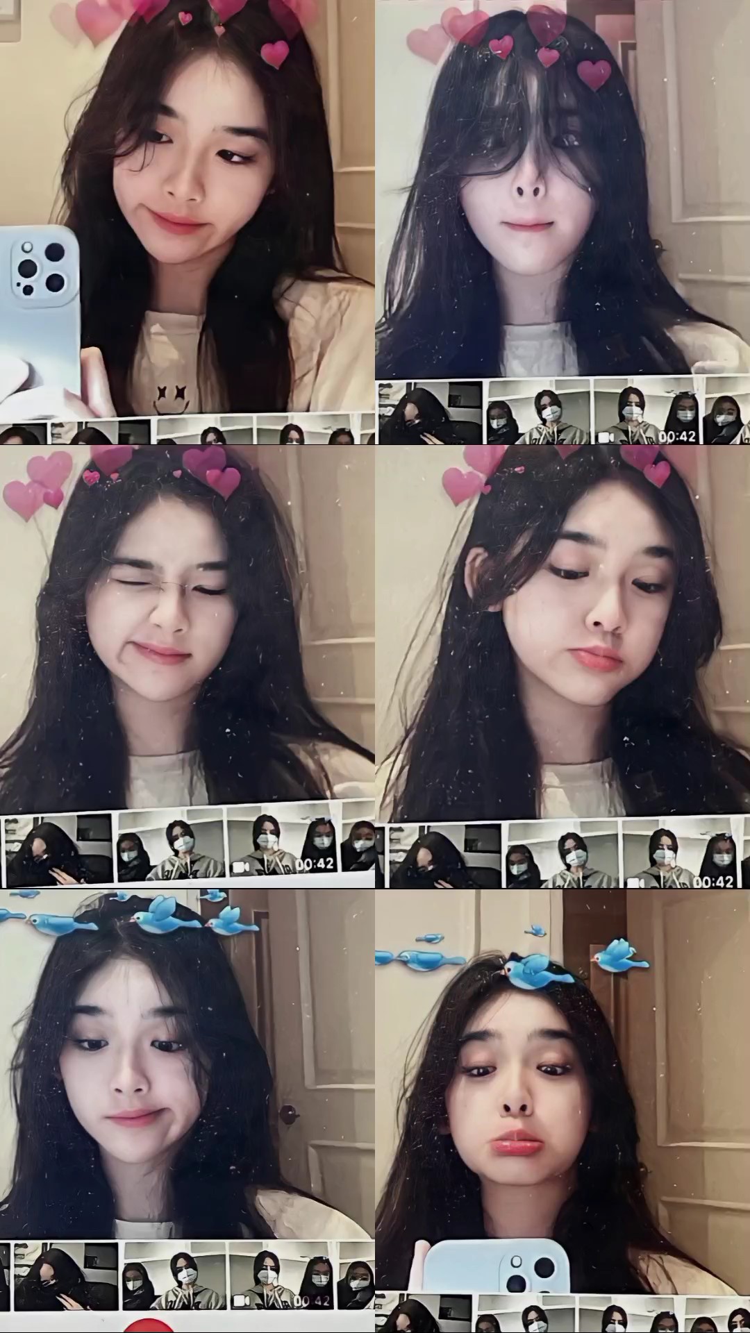 6 fotos