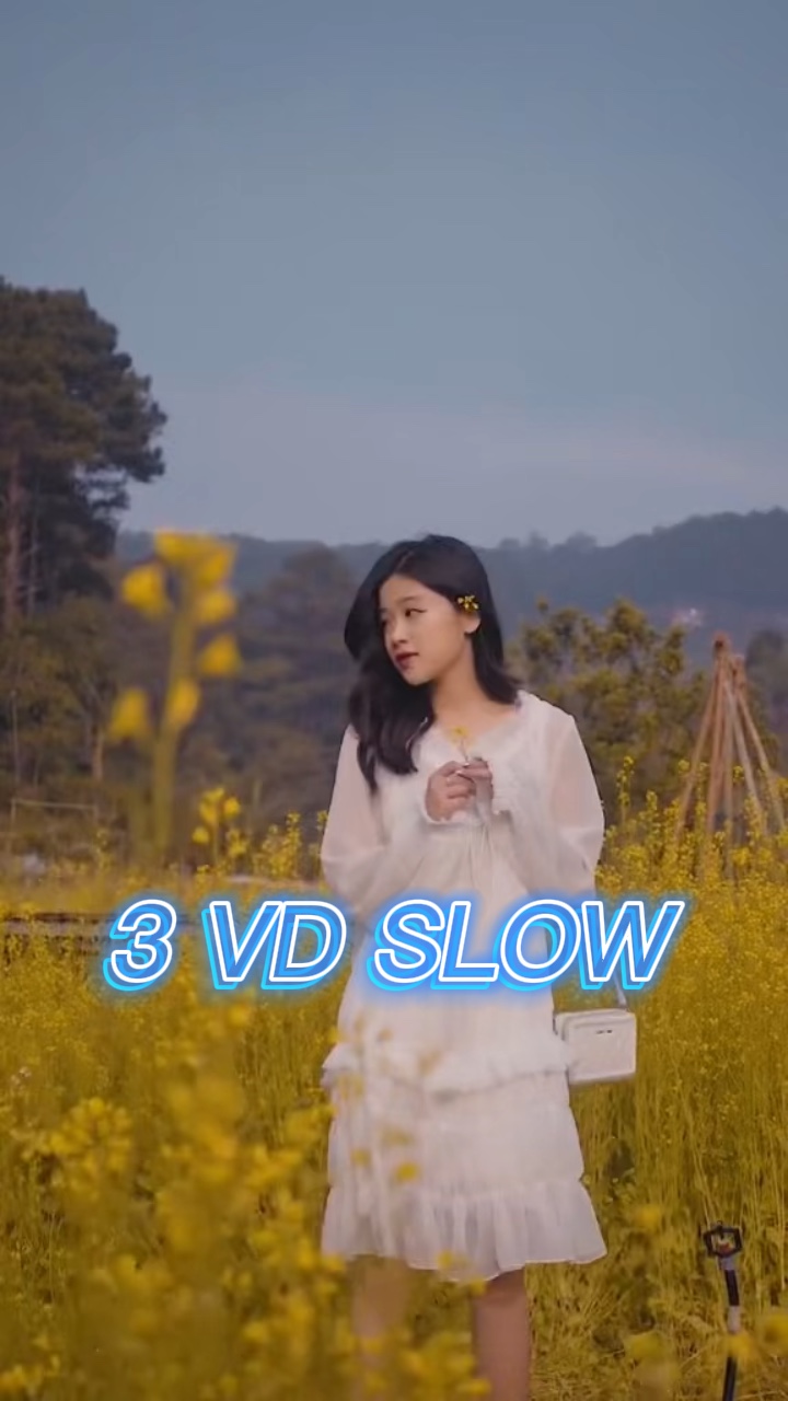 3 videos lentos 