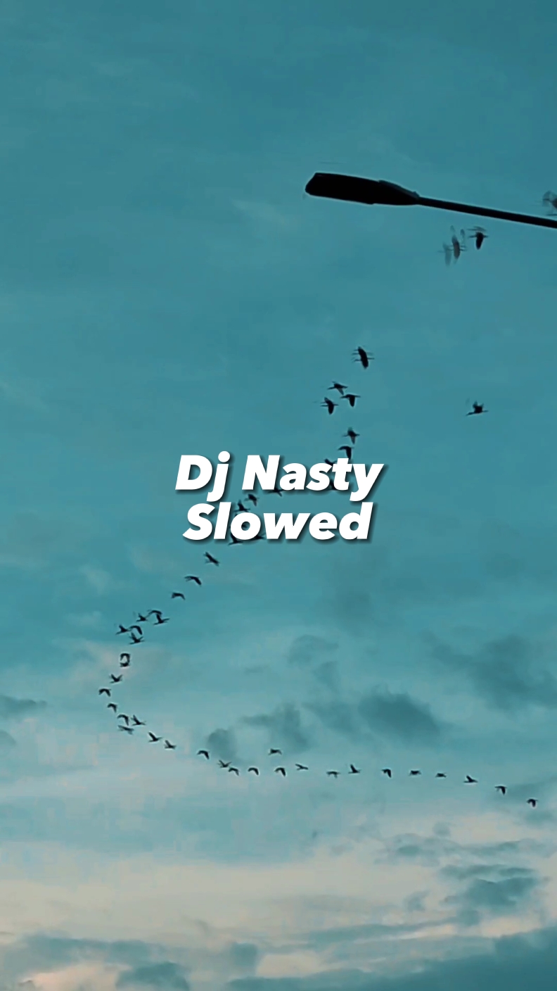 DjNastySlowed