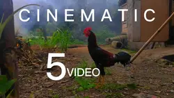 CINEMATIC BEROOO