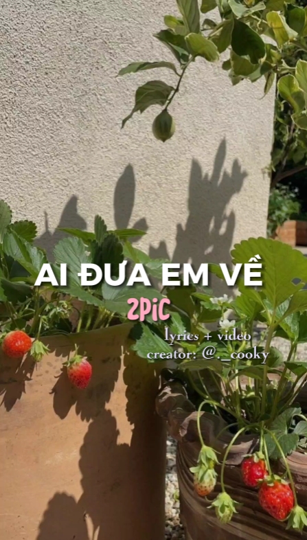 AI ĐƯA EM VỀ 