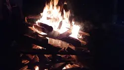 mini vlog