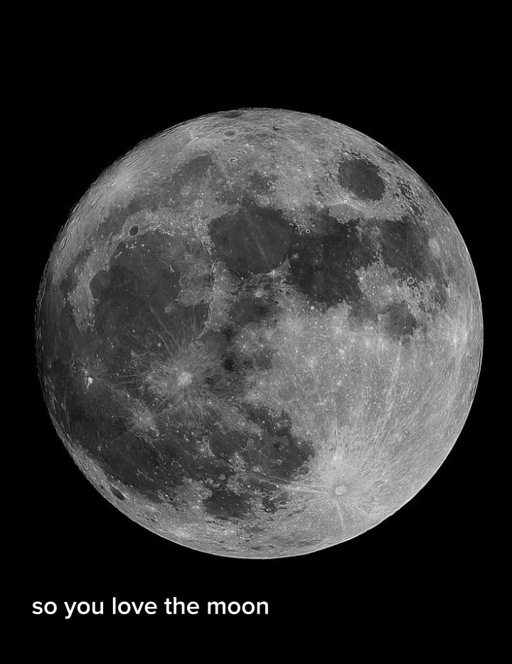 Amo a mi luna