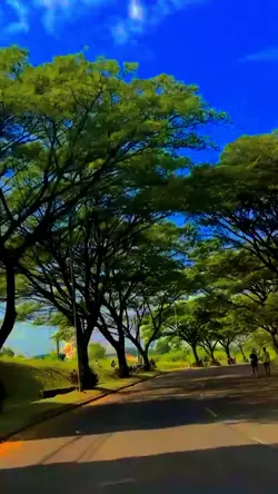 Slow màu 