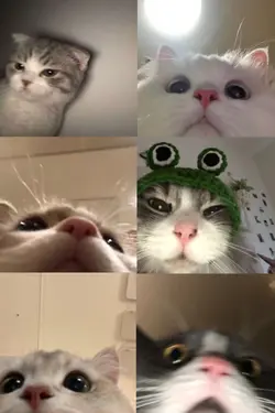 6pic mẫu bạn bè