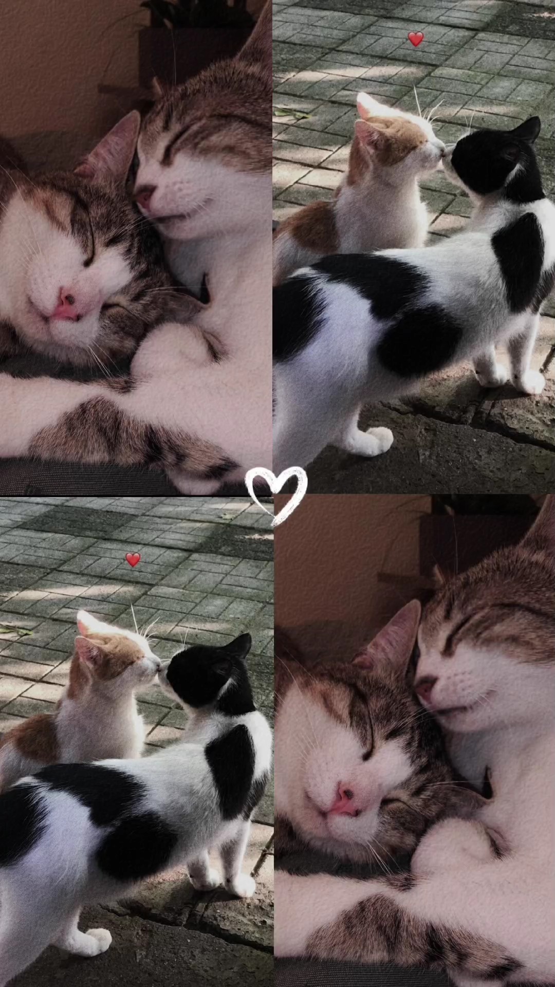 4pics