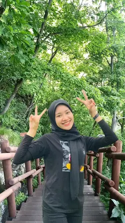 foto di pohon hutan