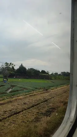 1 Video