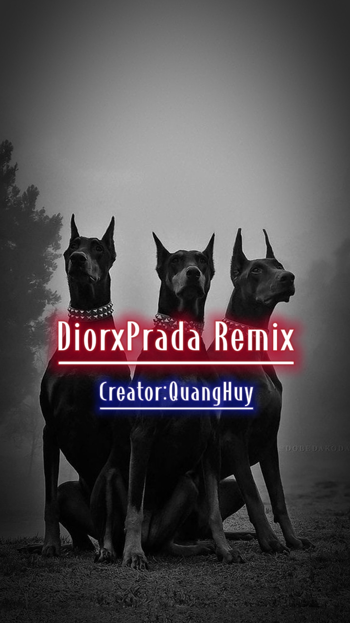 Dior x Prada