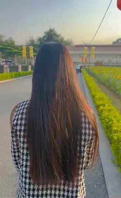 Mẫu video+ màu