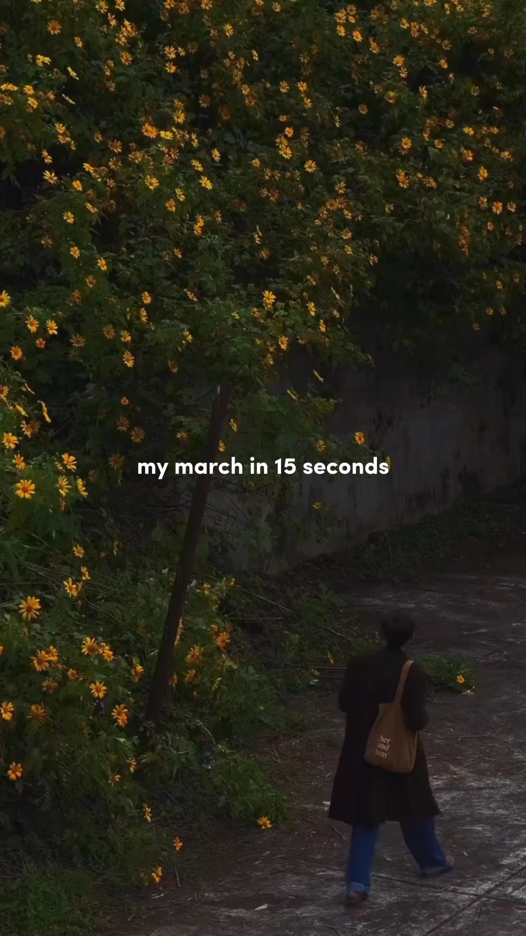 Marcha em quinze segundos