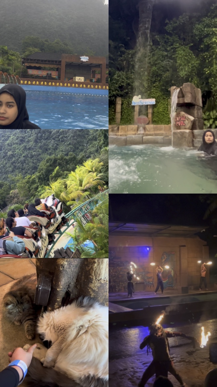 5 videos 💗