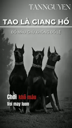 CHƠI KHÔ MÁU VỚI MÀY
