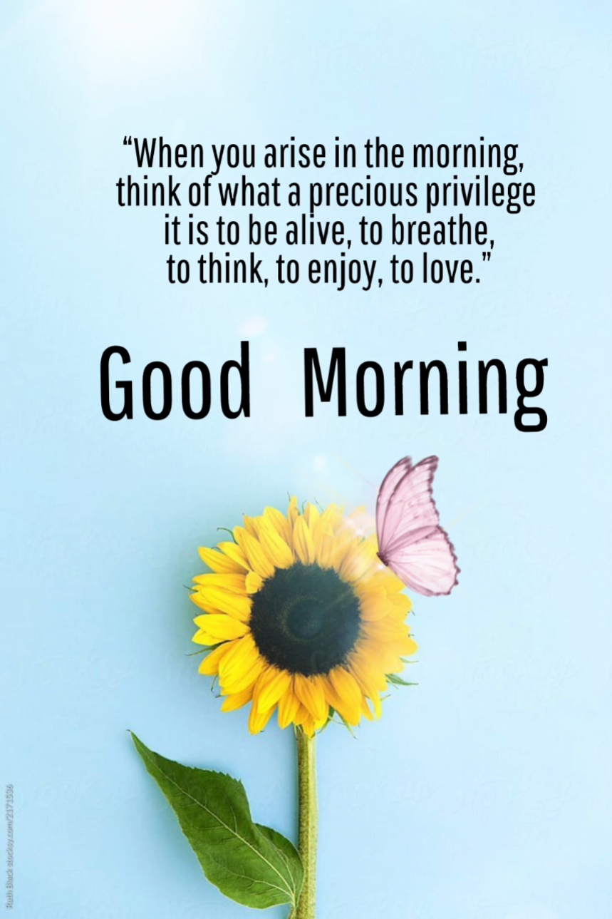 Selamat pagi