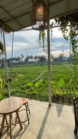mini vlog'58