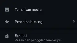 pesan berbintang