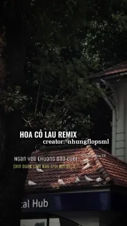 HOA CỎ LAU REMIX