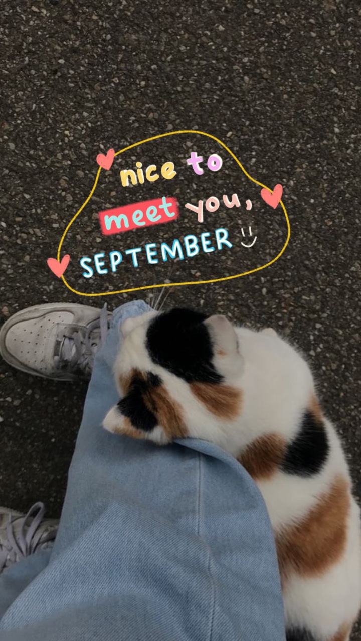 Despejo de setembro ~