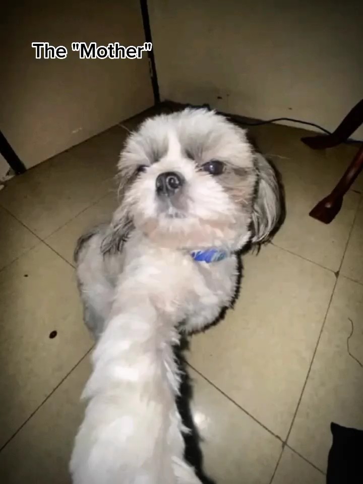 anne kızı ver