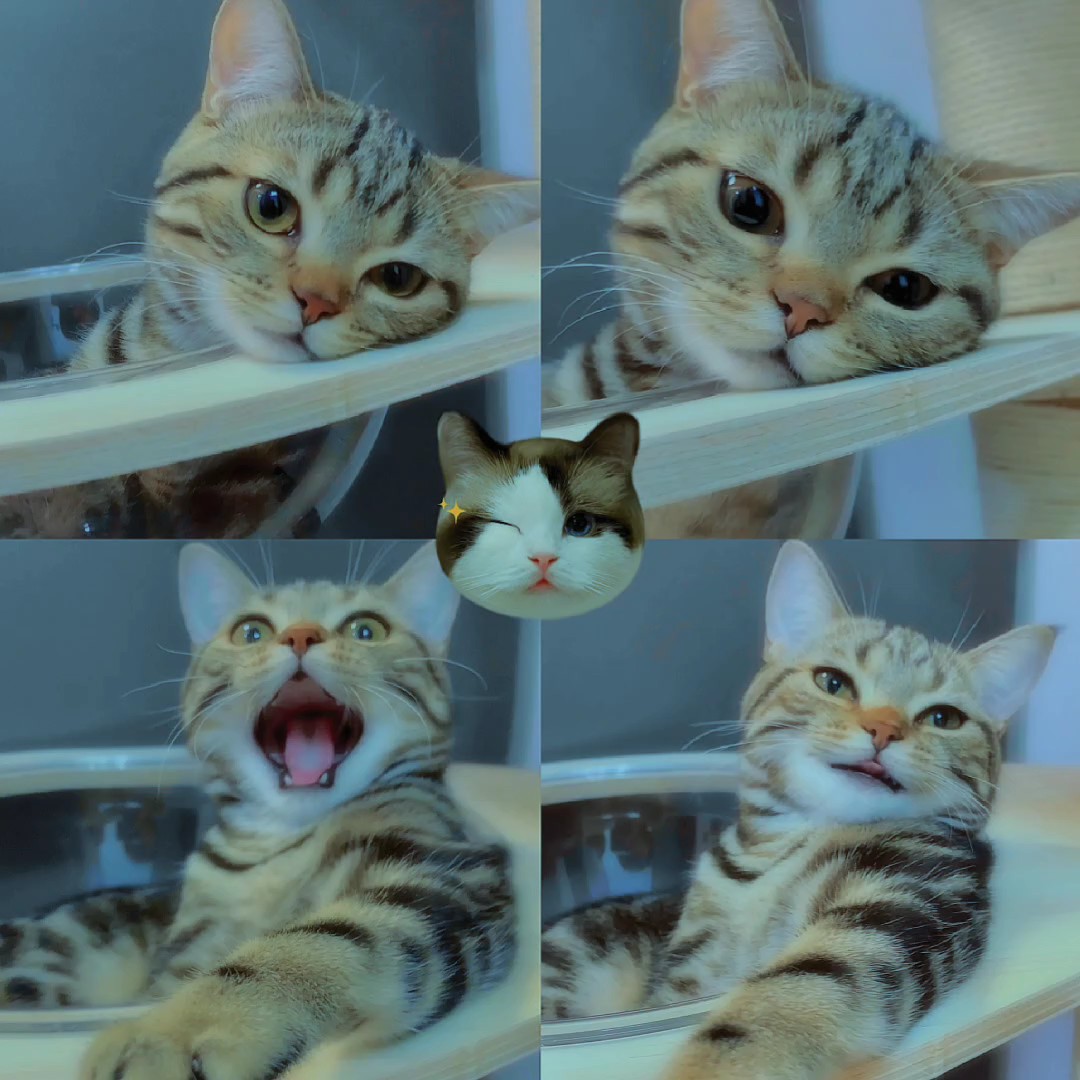 chat 4 photos
