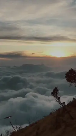 Kehilangan Harapan