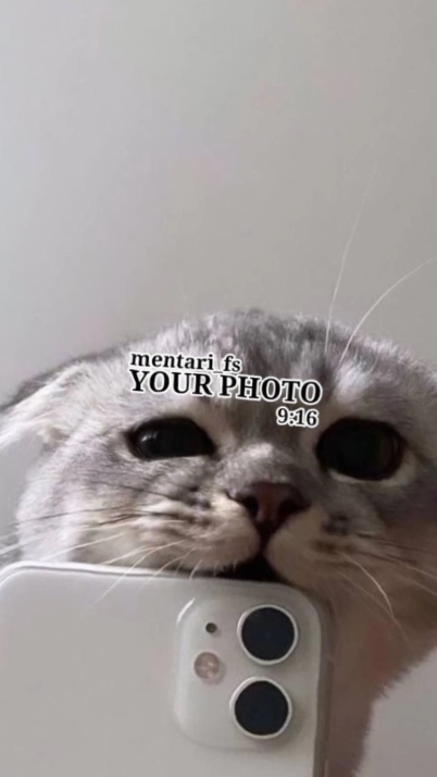 SCHOOL TEMPLATE 