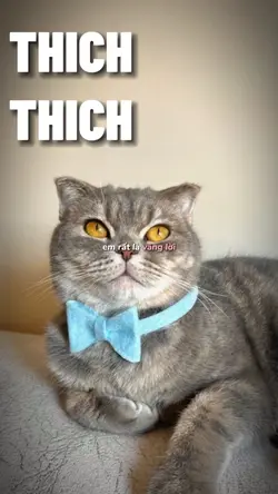 THICHTHICH