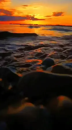 Video Aesthetic