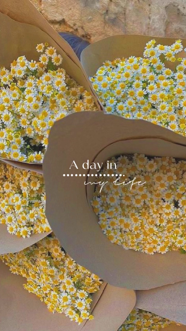 A day in my life