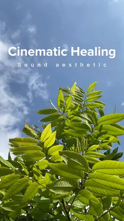 Cinematic Aesthetic